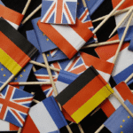 Everything You Wanted to Know About mega city’s