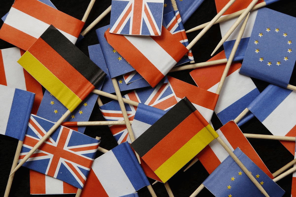 Everything You Wanted to Know About mega city’s